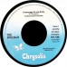 SPECIALS A Message To You Rudy / Nite Klub (Chrysalis – 101.122) Holland 1979 PS 45 (Ska)